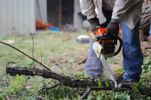 Why Are Top Handle Chainsaws Favored by Arborists?